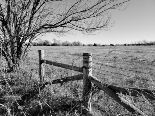 HWY 169, COLLINSVILLE, OK 74021, photo 3 of 4