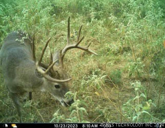 HWY 75, LEHIGH, OK 74556, photo 2 of 33